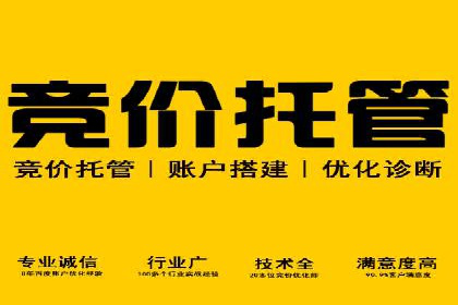 揭秘：成功SEM推广代运营公司案例解析